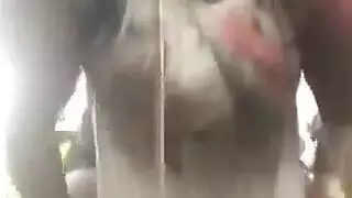 قضيب النقود يهاجم الفيلم البالغ في مشهد جنسي صريح
