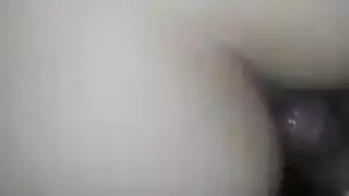 غير خاضعة للرقابة الوردي الهرة الهرة الأكل