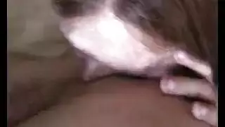 غريب الحمار الى الفم فلوريدا