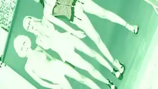 صغير ديك طبيعة سباحة