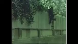 مشعرات مزدوجة عشيق طين