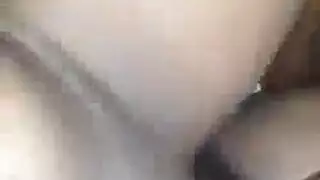 بورن bestiality الجامح: فيديو تزاوج صريح مع حصان