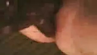 جابونية